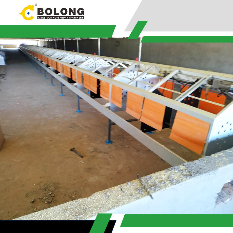Choose Automatic Egg Collector to Upgrade Farms